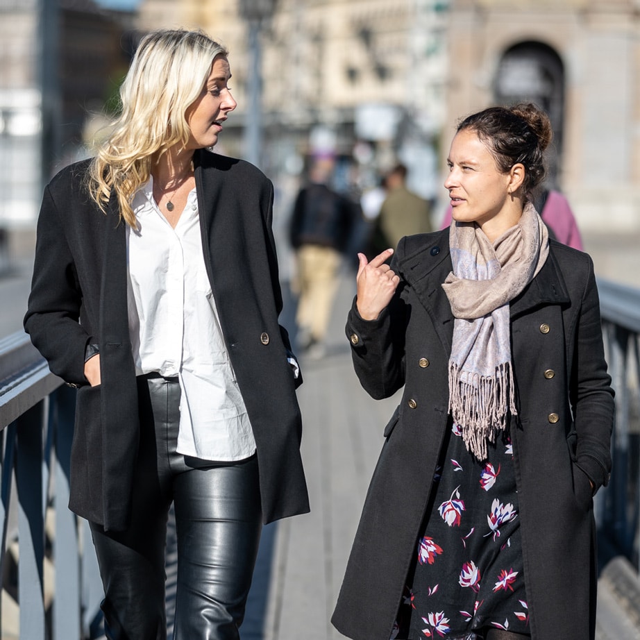 mentorprogrammet
