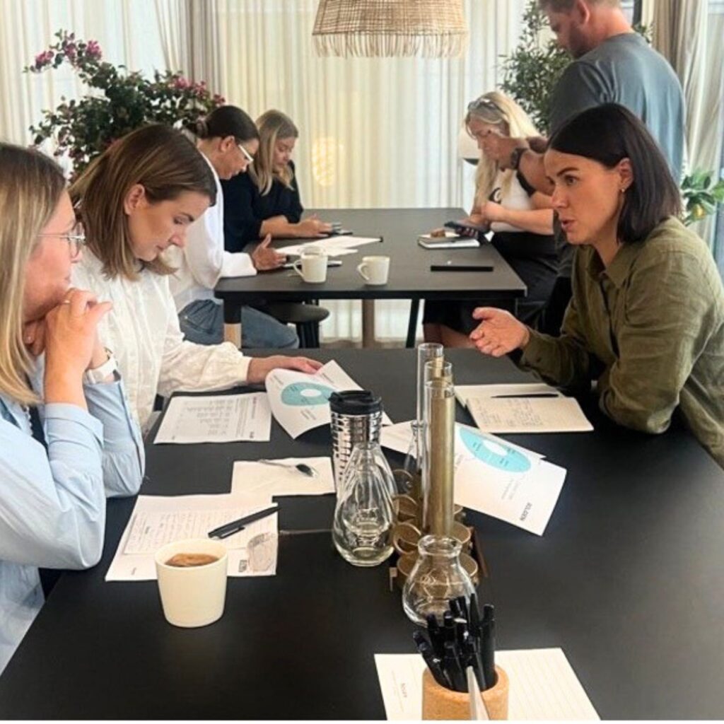 Deltagare i Boliden HR Program av Novare